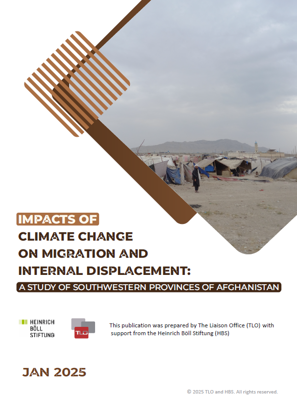 Climate-Induced Displacement Study